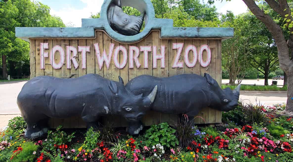 Fort Worth Zoo in TCU-West Cliff