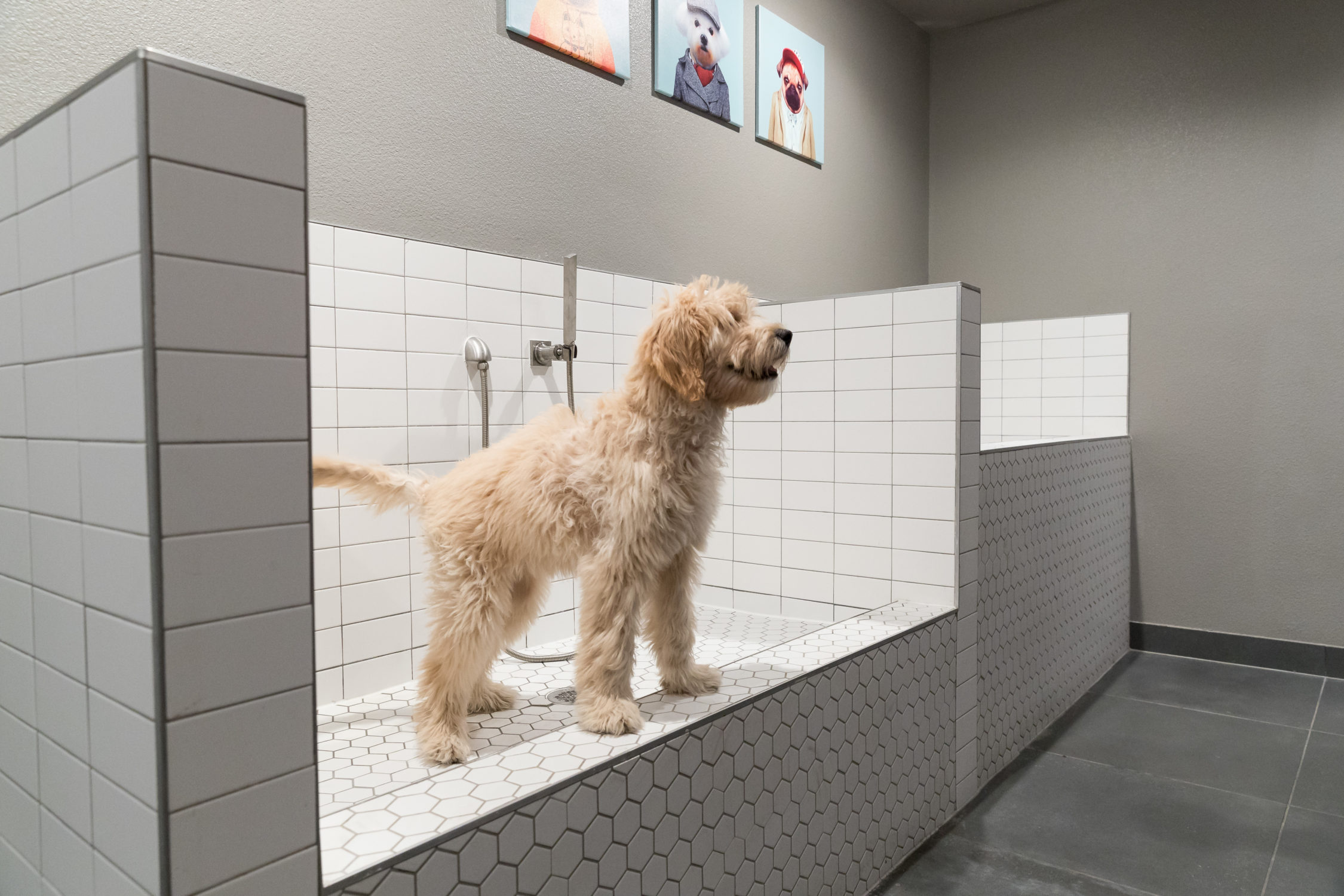 Alexan Summit Apartments in Fort Worth Apartment Locating Specialists