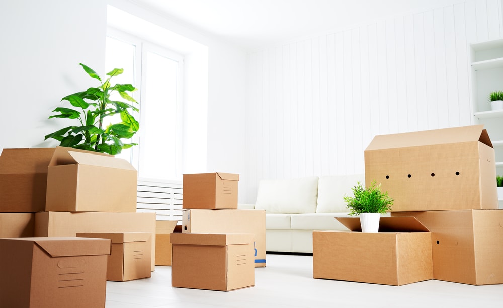 apartment office storage