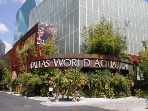 Dallas World Aquarium in Downtown Dallas