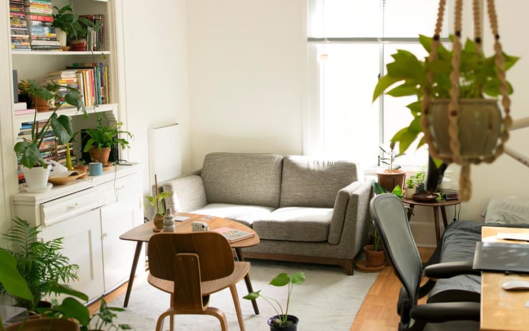 Green Apartment Living – 7 Simple Ways to be Green