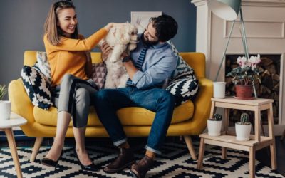 7 Tips for Living in an Apartment with a Pet