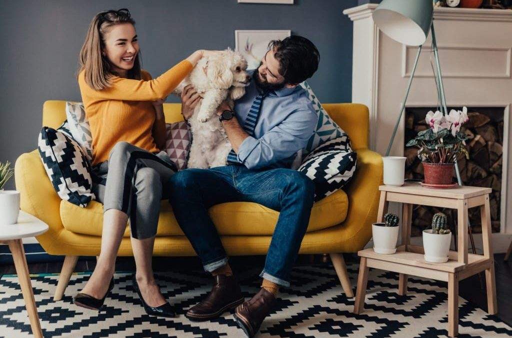 7 Tips for Living in an Apartment with a Pet